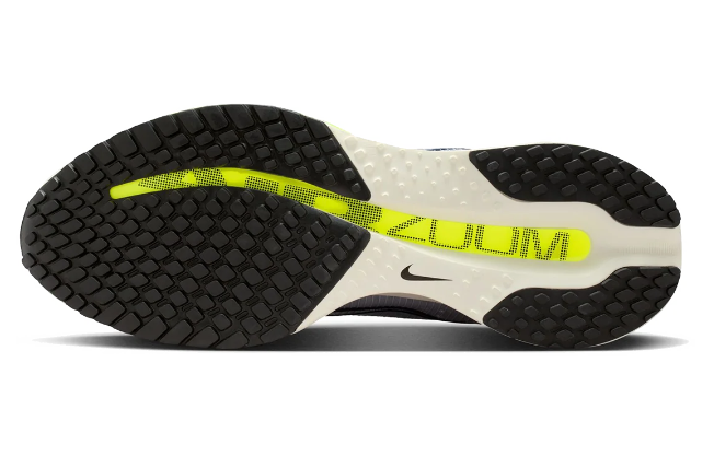 Nike Pegasus Premium “Black/Metallic Silver-White”